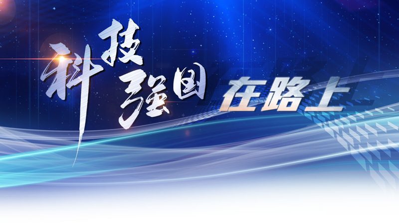 信息化建设招标文件模板：构建高效招标流程的关键**