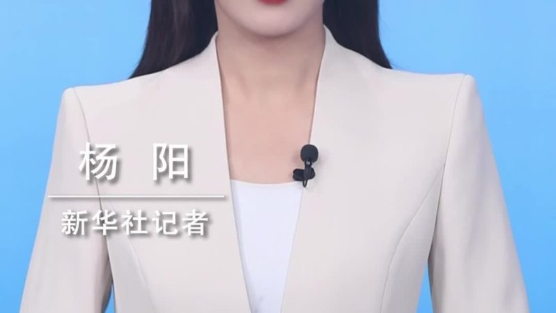金融系统技术外包代理：揭秘其核心价值与选型策略**